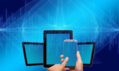 錦州鼠標文化傳媒網站建設制作,小程序搭建